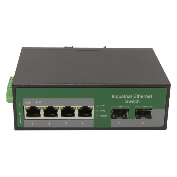 WS1006E-2G4T-S